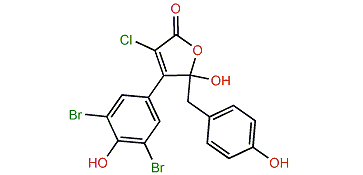 Rubrolide W